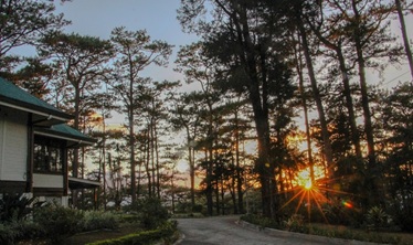 Cẩm nang du học Baguio “Thành phố ngàn thông”