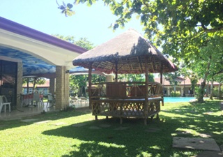 truong-anh-ngu-elsa-csvc-4