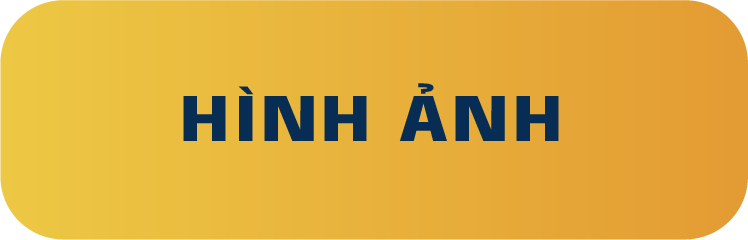 truong-anh-ngu-cip-34