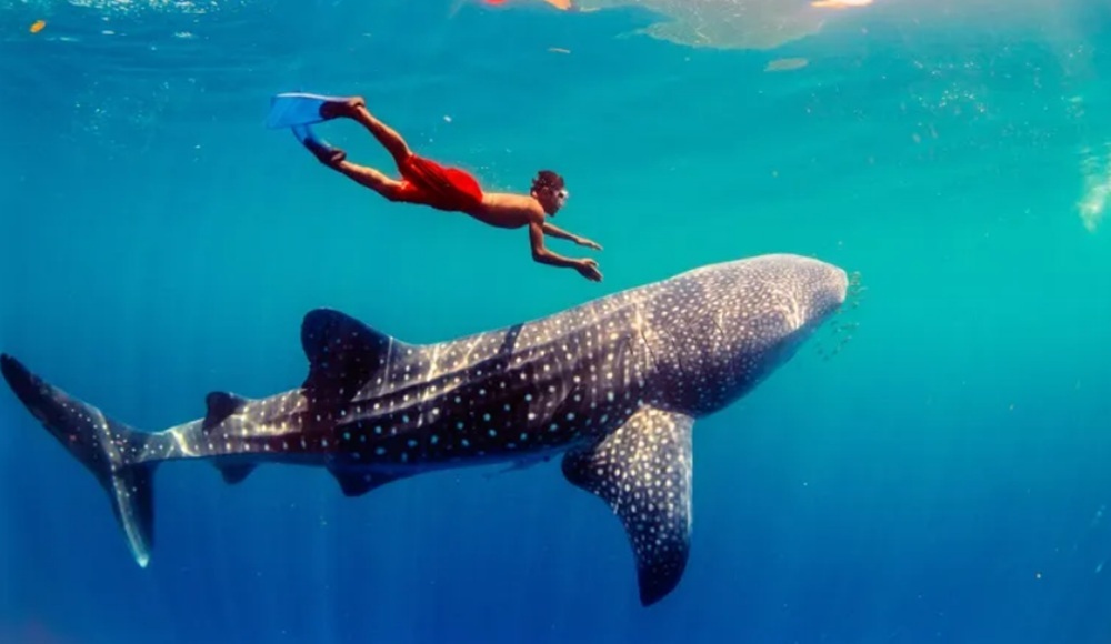 du-hoc-clark-vs-cebu-nen-chon-o-dau