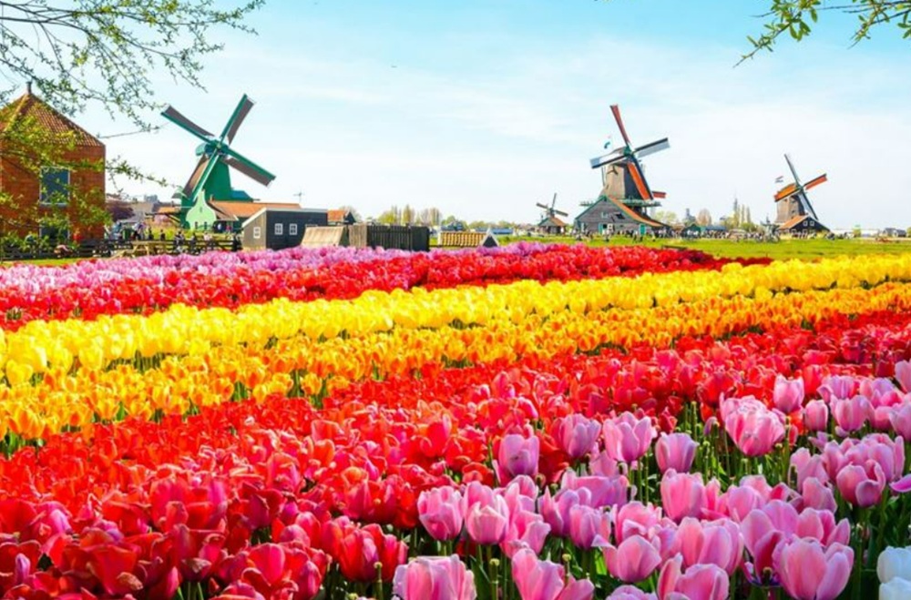 ban-sao-chau-au-nhung-dia-diem-co-the-ban-chua-biet-khi-du-hoc-philippines-1