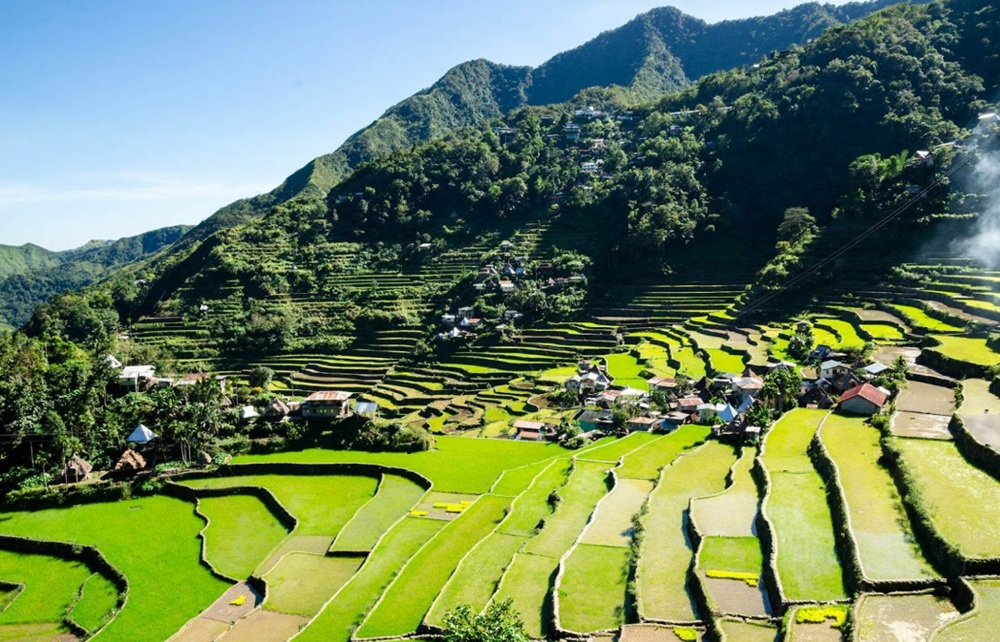 cam-nang-du-hoc-baguio-thanh-pho-ngan-thong15