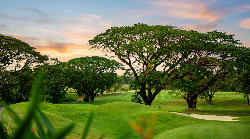 cam-nang-du-hoc-clark-thanh-pho-yen-binh-voi-nhieu-giao-vien-ban-ngu-15