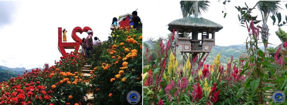 Chụp ảnh với bàn tay khổng lồ-7