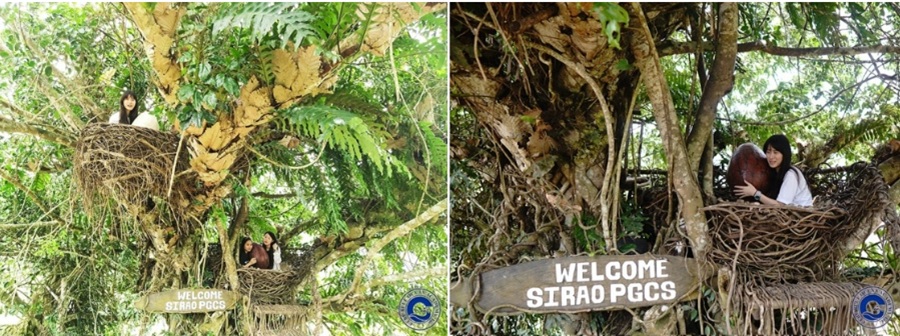 du-hoc-tieng-anh-o-cebu-5-dia-diem-du-lich-hap-dan-ban-nen-kham-pha