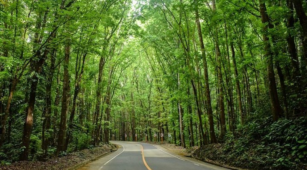 top-5-diem-du-lich-khong-the-bo-qua-khi-den-bohol-philippines-7