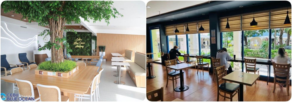 cebu-english-retreat-hoc-tieng-anh-ket-hop-du-lich-3